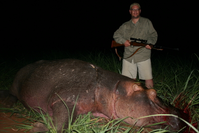 Mr. Johan Van Wyk Shot This Hippo With A Custom Brno 602 375 HH And Woodleigh 300gr FMJ At 2560 Fps