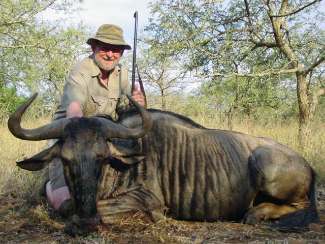 Mr George Wallace In Zululand With Blue Wildebeest Taken With Rigby 400 350 And Woodleigh 358 310gr Weldcore Soft Nose Bullet At 2140fps