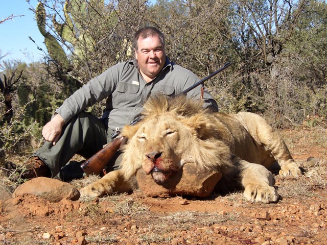 Mr Greg Hill Australia With Lion Taken In South Africa With Custom Built 318 Westly Richards With Open Sights At 20m And Woodleigh 330 350gr Weldcore Round Nose Soft Nose Bullet