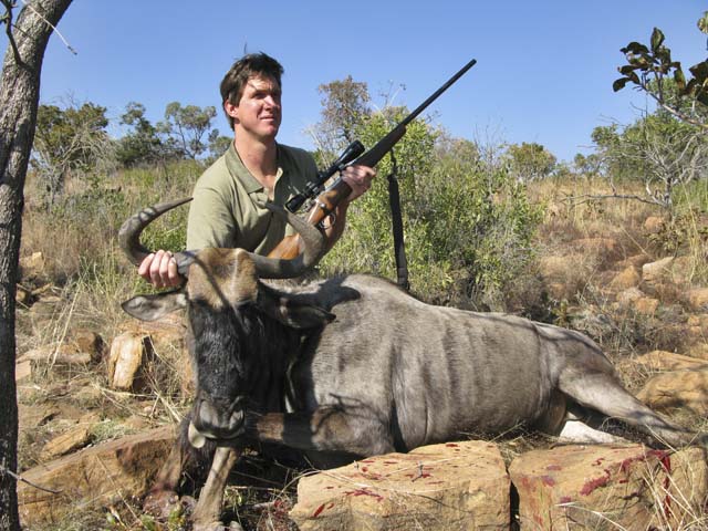Mr Leon Hensel South Africa And Blue Gnu Taken With 7x57mm And Woodleigh 175 Grain Weldcore Protected Point Soft Nose Bullet