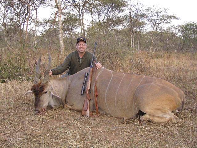 Mr Marvin Quillan Jr Texas USA And Eland Taken In Zimbabwe With 350 Rigby Rimless And Woodleigh 358 310gr Weldcore Round Nose Soft Nose Bullet At 2400fps